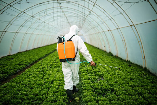 Best Best Pest Control Companies  in Watsessing, NJ