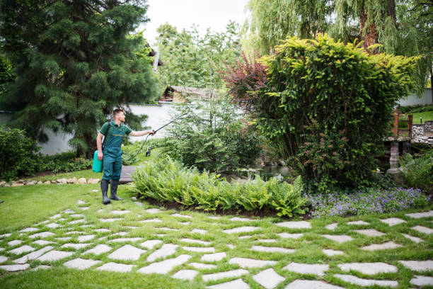 Best Local Pest Control Services  in Watsessing, NJ