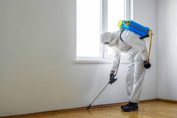 Best Affordable Pest Control Services  in Watsessing, NJ