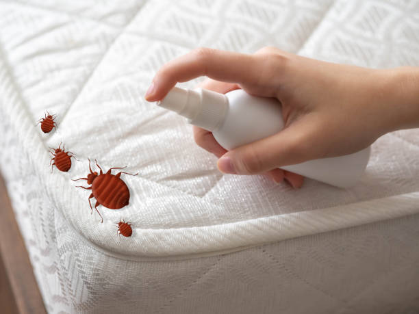 Flea Control Services in Watsessing, NJ