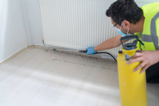 Best Pest Prevention Services  in Watsessing, NJ