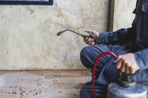 Best Termite Control Services  in Watsessing, NJ