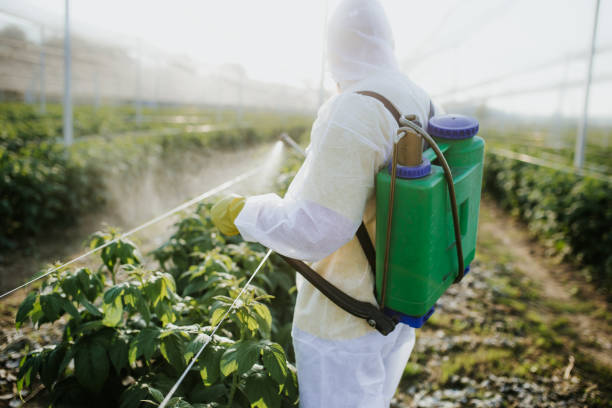 Best Exterminator Services  in Watsessing, NJ